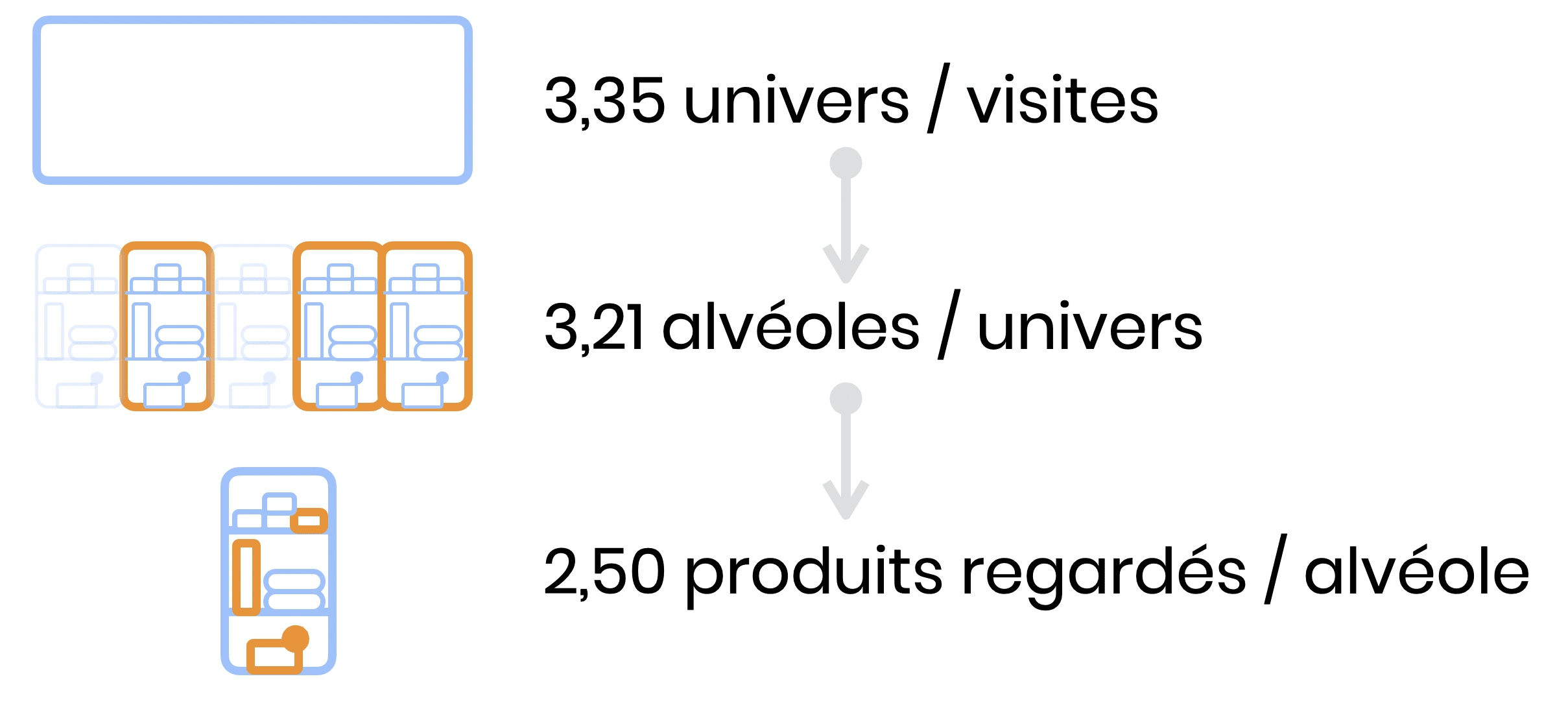 UX Design Comportemental, Nature & Découvertes, expérience client phygitale