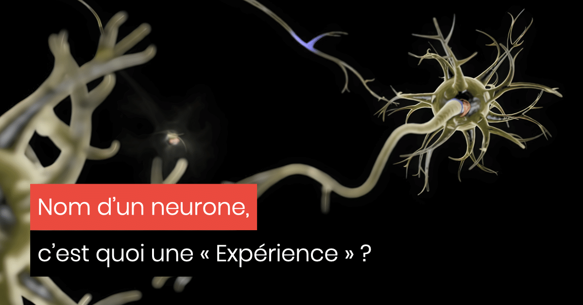 UX Design Comportemental, neurone et expérience