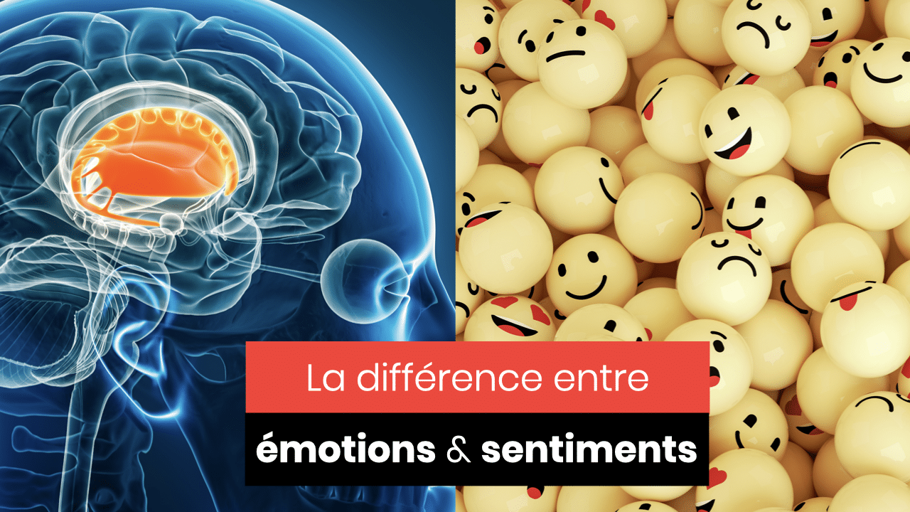 La différence entre émotions et sentiments.