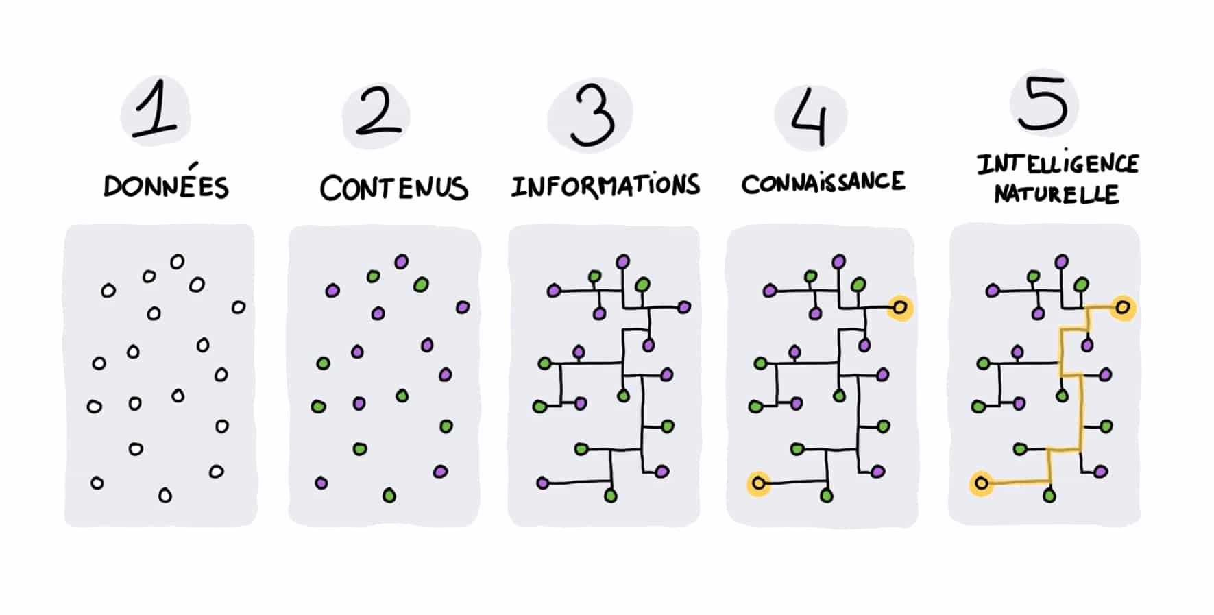 Design comportemental - des données à l'intelligence